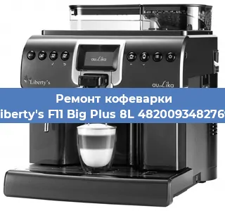 Чистка кофемашины Liberty's F11 Big Plus 8L 4820093482769 от накипи в Ижевске